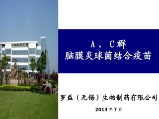 AC结合流脑简介课稿