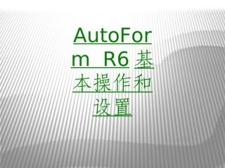 AutoFormR基本操作和设置课件