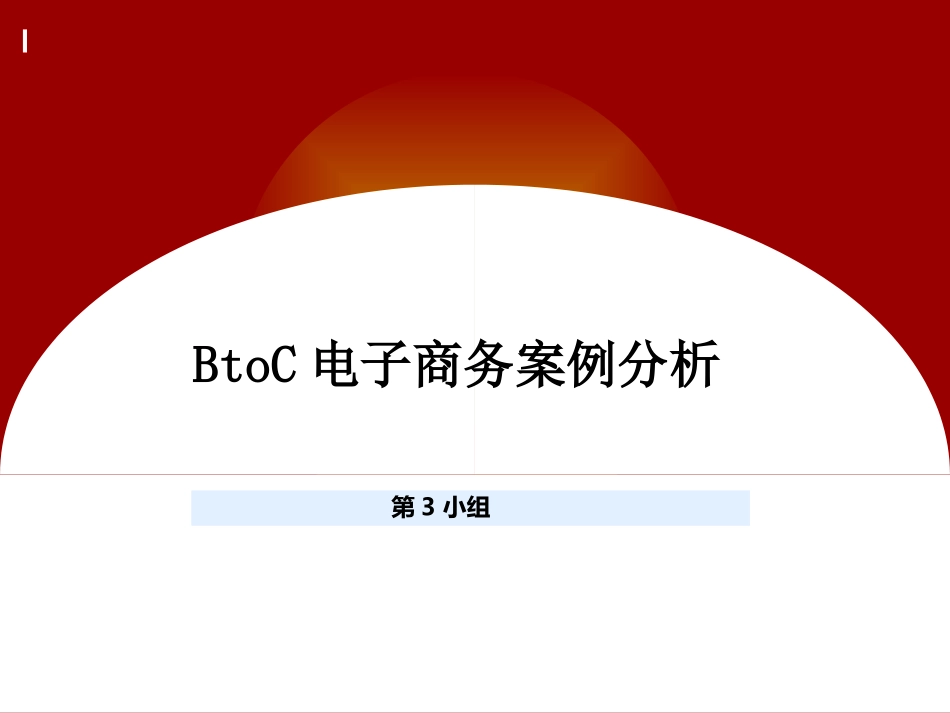 B2C电子商务调研报告_第1页