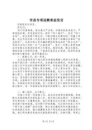 市县专项巡察表态讲话