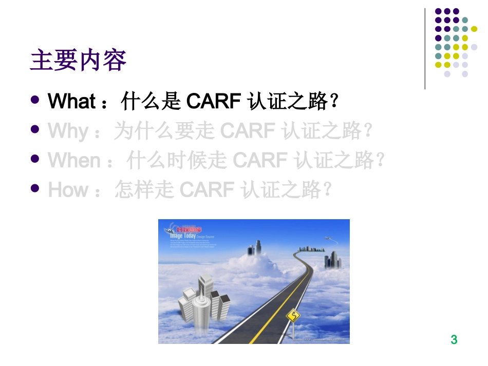 CARF认证在康复医学科实践中的应用_第3页
