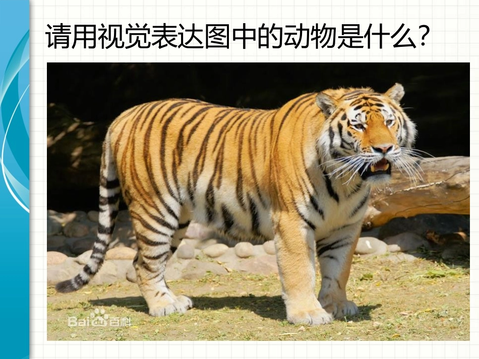 CNN卷积神经网络介绍_第3页