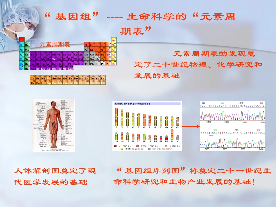 dna测序仪专业课件_第1页