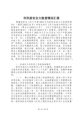 市汛前安全大检查情况汇报