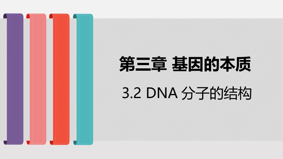 DNA的结构_第1页