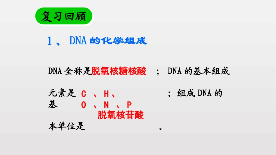 DNA的结构_第2页