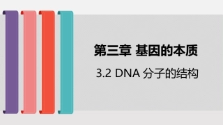 DNA的结构