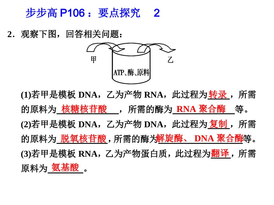 DNA复制转录和翻译_第2页