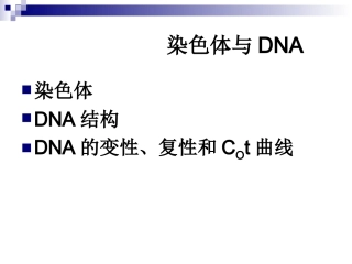 DNA及染色体的结构