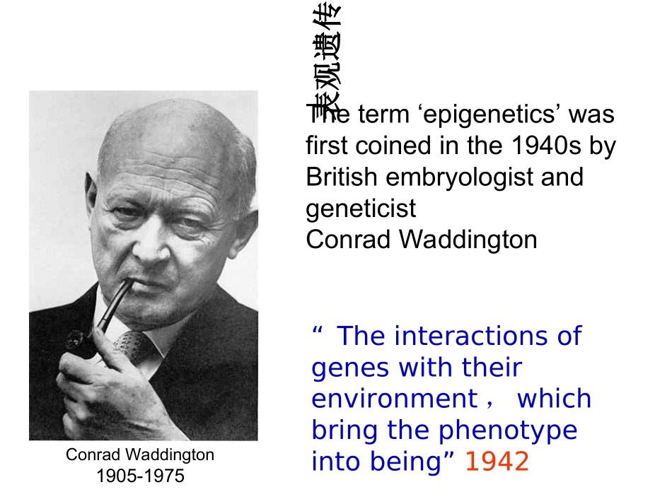 DNA甲基化_第2页