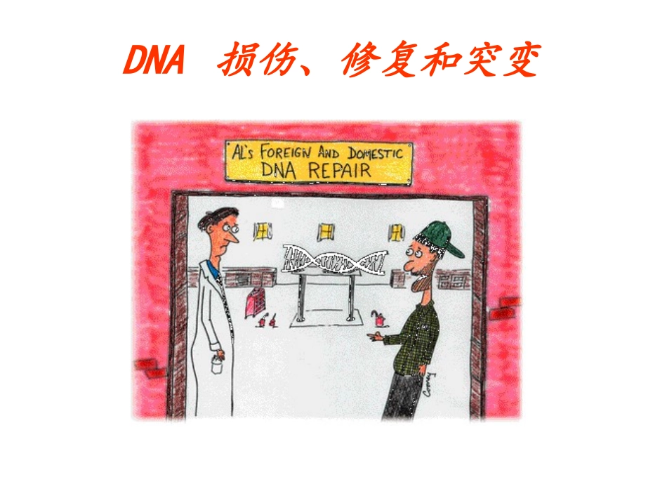 DNA损伤与修复_第1页