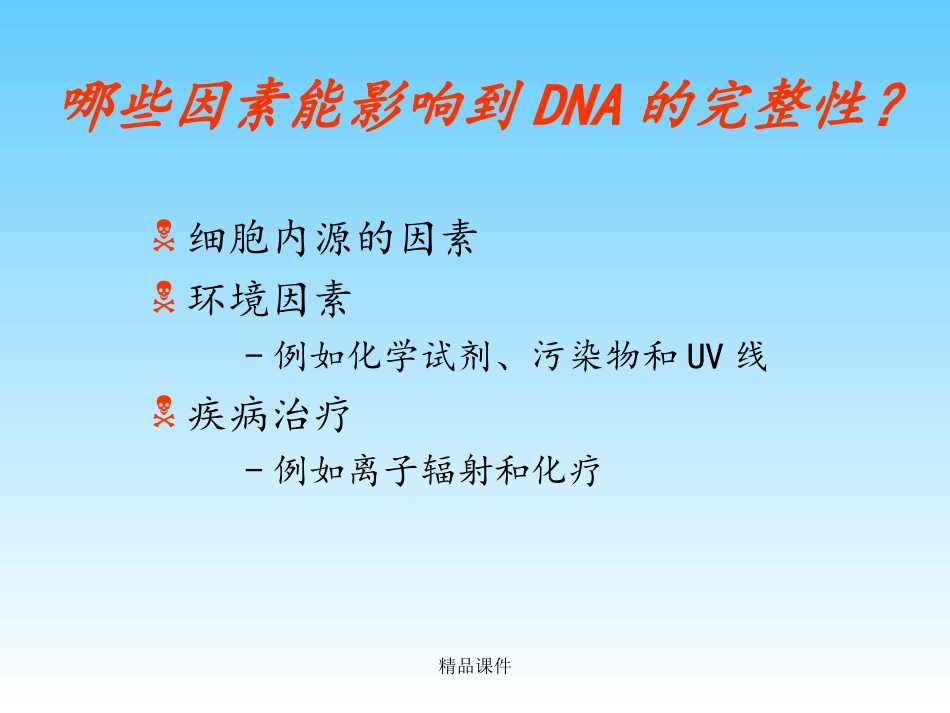 DNA损伤与修复_第3页
