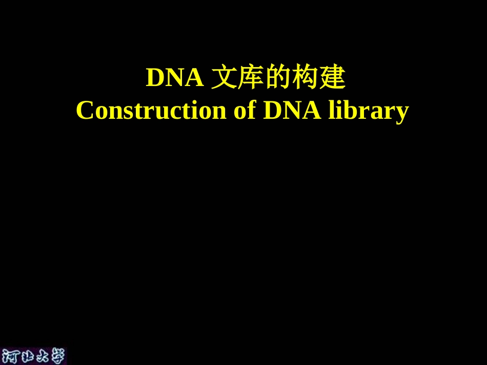 DNA文库的构建_第1页