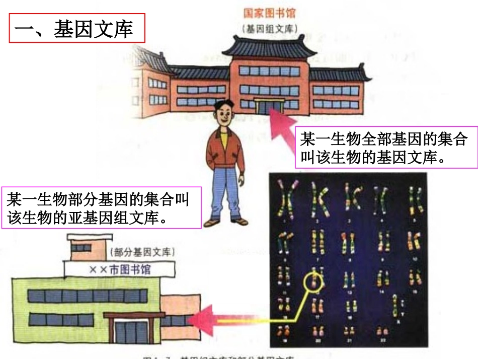 DNA文库的构建精_第3页