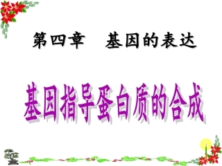 DNA指导蛋白质合成