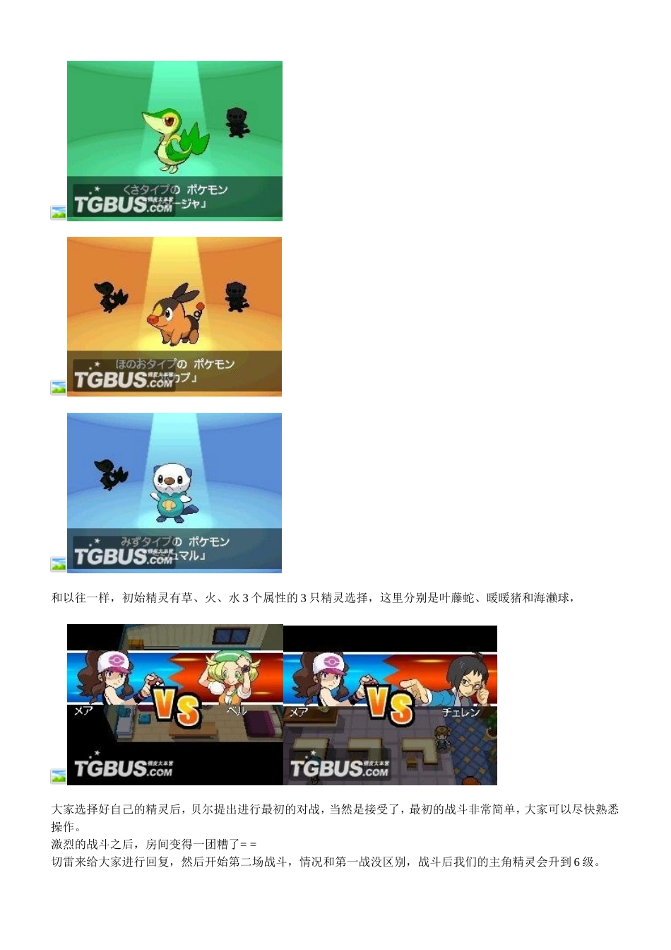 口袋妖怪黑-中文版攻略_第2页