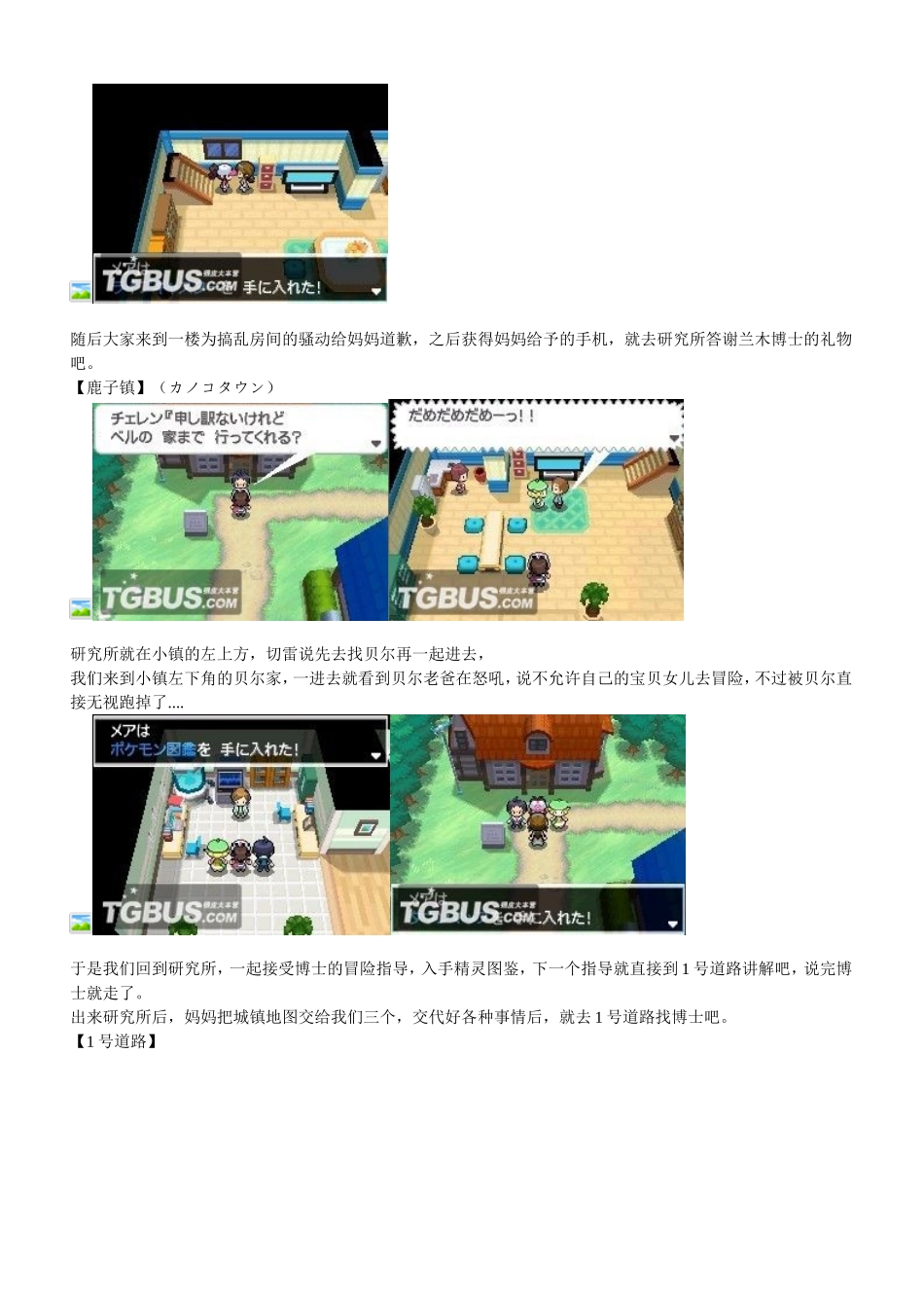 口袋妖怪黑-中文版攻略_第3页