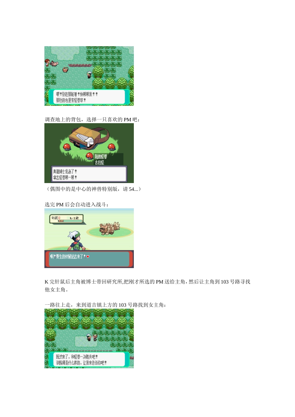 口袋妖怪绿宝石图文攻略汇总_第3页