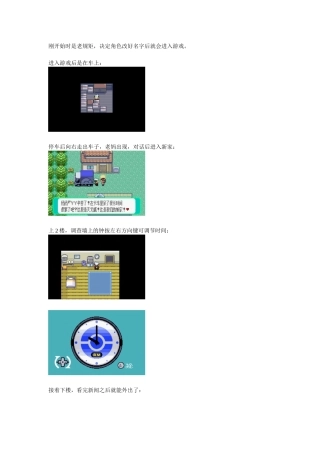 口袋妖怪绿宝石图文攻略汇总