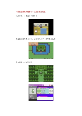 口袋妖怪漆黑的魅影5三周目