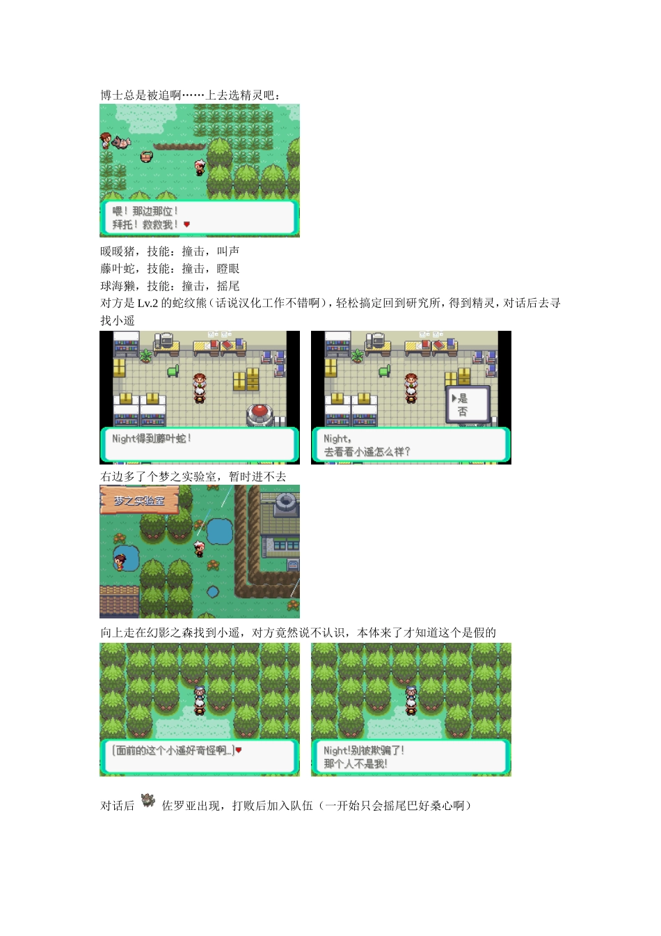 口袋妖怪漆黑的魅影图文攻略(同名2803)_第2页