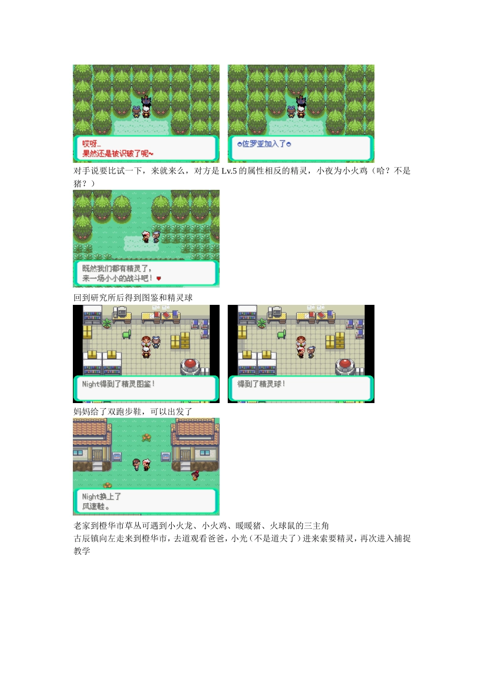 口袋妖怪漆黑的魅影图文攻略(同名2803)_第3页