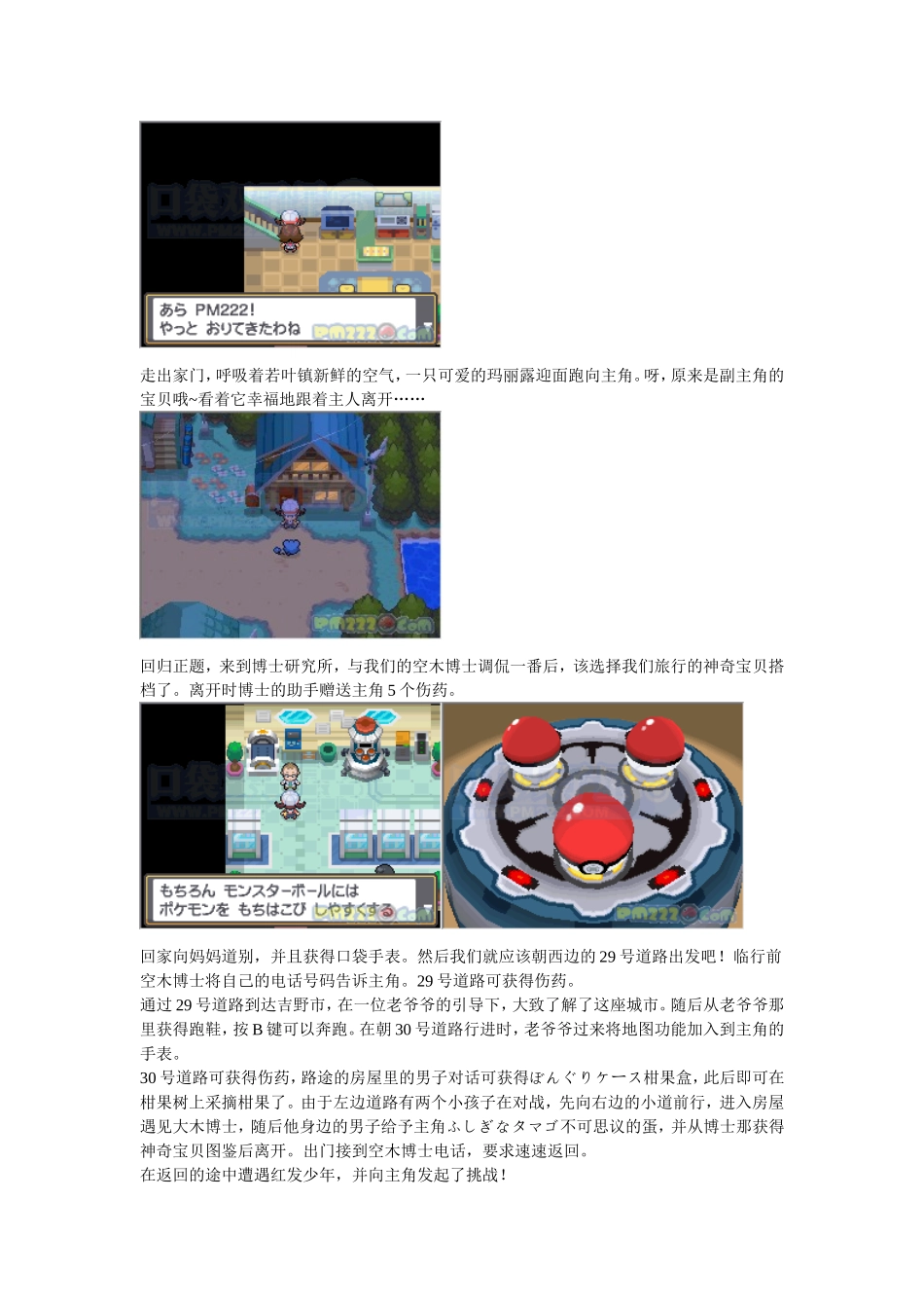 口袋妖怪心金魂银攻略_第2页