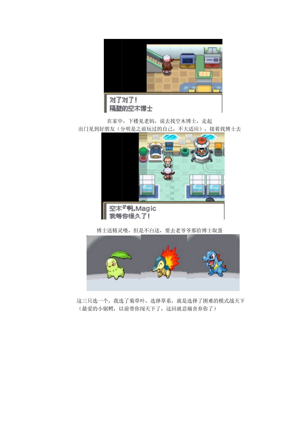 口袋妖怪心金魂银一周目图文攻略_第2页