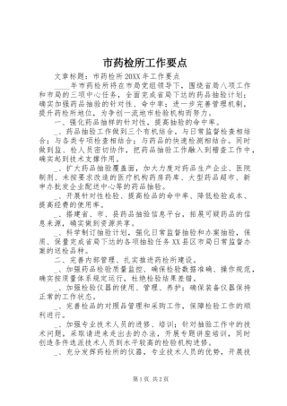 市药检所工作要点