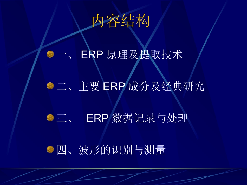 ERP培训资料_第2页