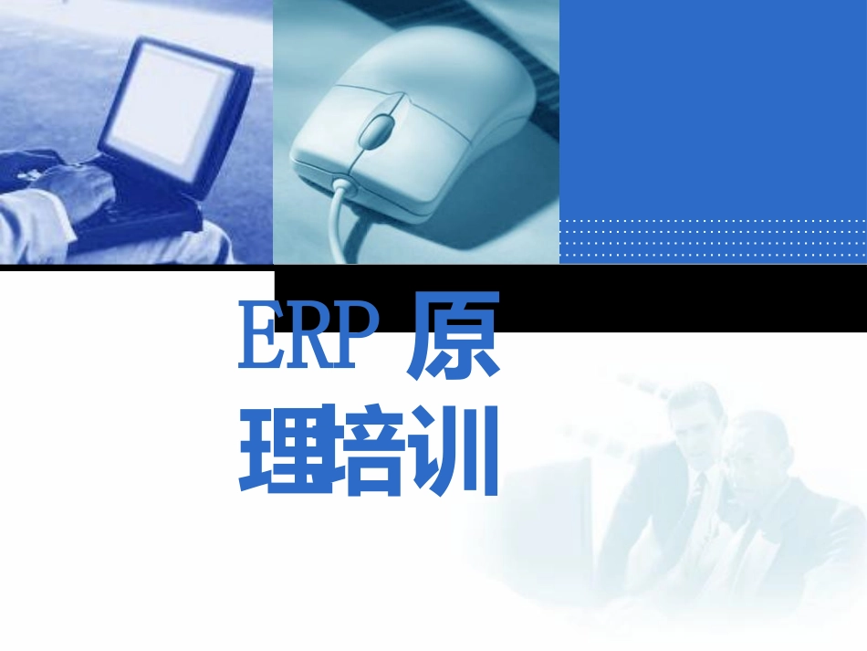 ERP原理培训教程_第1页