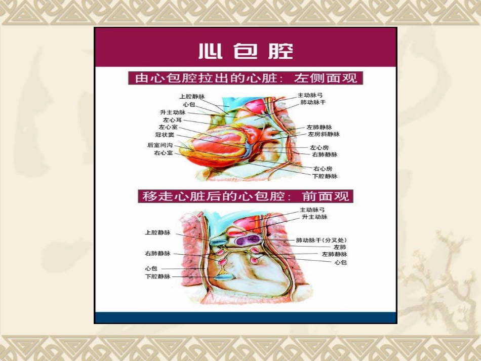 ESC指南心包疾病_第3页