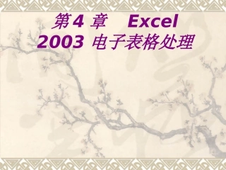 Excel电子表格处理课件