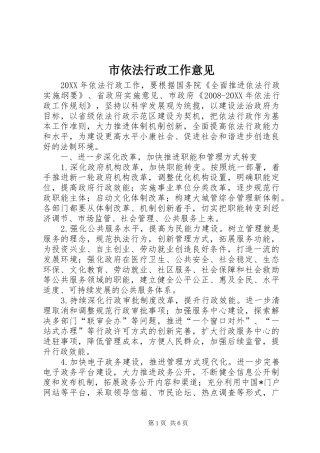 市依法行政工作意见