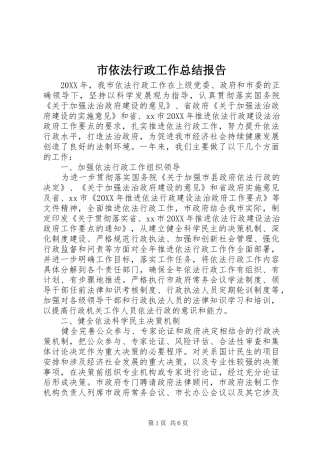 市依法行政工作总结报告
