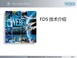 FDS技术介绍