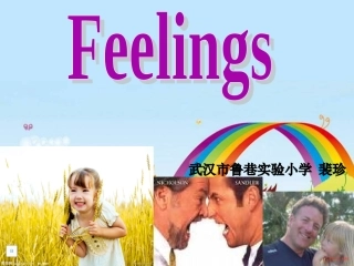 feelings课件