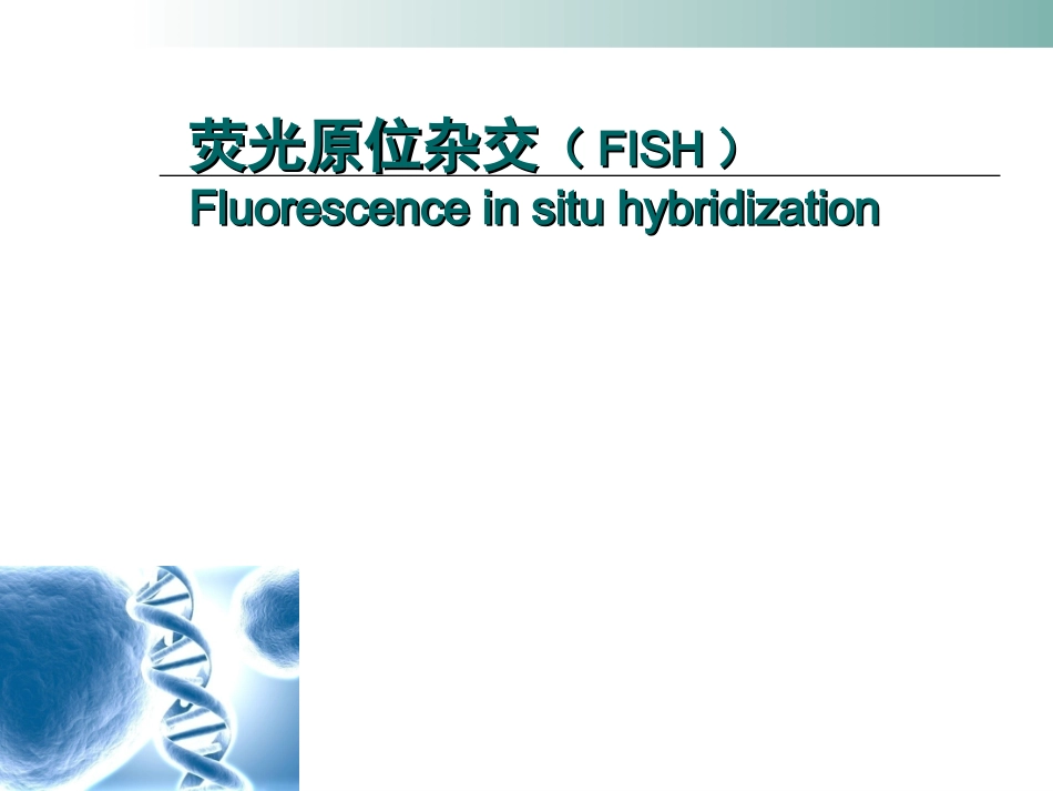 FISH杂交技术_第1页