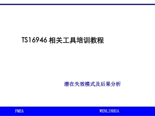 FMEATS16946相关工具培训教程
