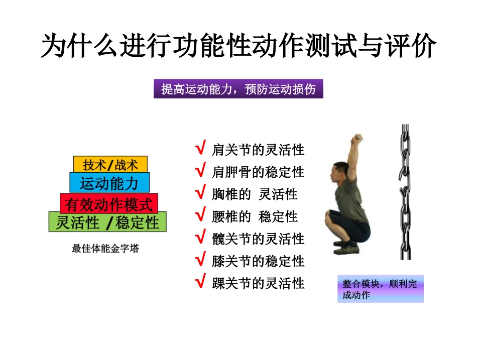 FMS功能性动作筛查_第3页