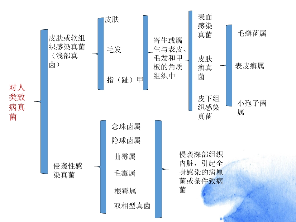 G试验GM试验_第3页
