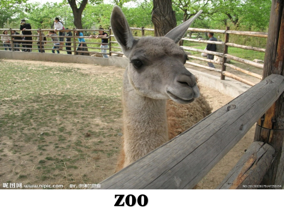 howcanigetthere全单元课件_第3页