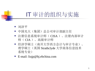 IT审计的组织与实施培训课件