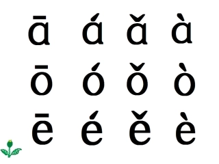iuvyw课件