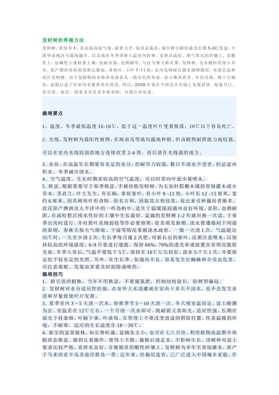 发财树的养殖方法_第1页