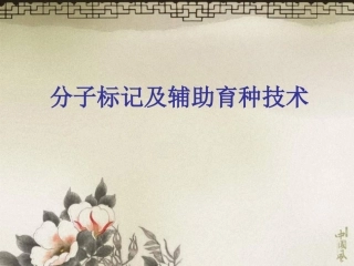 molecularmarker分子标记