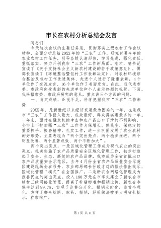 市长在农村分析总结会讲话