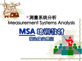 MSA理论及实用培训教程