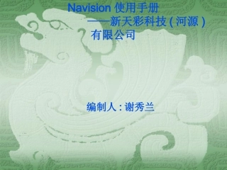 Navision使用手册