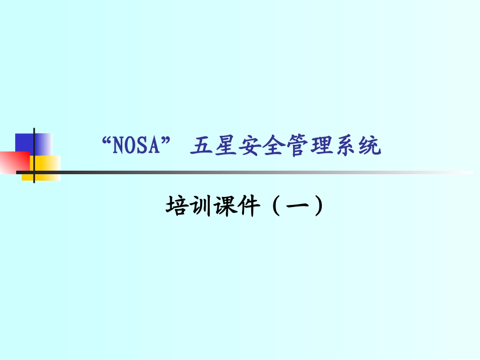 NOSA管理培训_第1页
